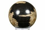 Petrified Wood (Tropical Hardwood) Sphere - Indonesia #266109-1